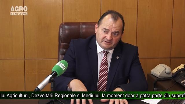 Prognoze optimiste: Recolta de floarea-soarelui va fi mai mare смотреть онлайн