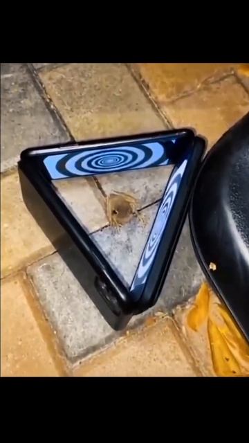 The end 😂😂#funny #pet #animals #pets #dogs #dog #cats #cat #animal #wee #fyp #viral смотреть онлайн