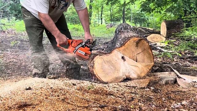 Wayne’s 346 XS 18” смотреть онлайн