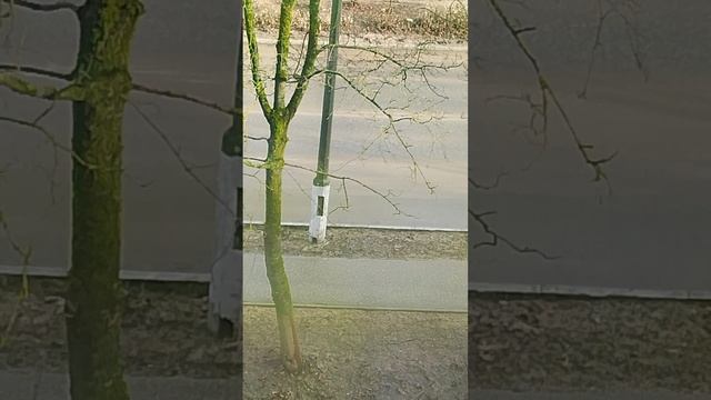 1000007436.mp4 смотреть онлайн