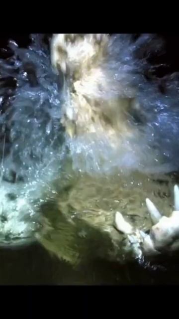 Застряли в жуткой пещере смотреть онлайн