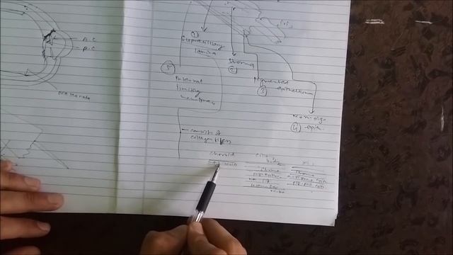 Uveal Tract (Ciliary Body) - Anatomy - Part 2/3 смотреть онлайн