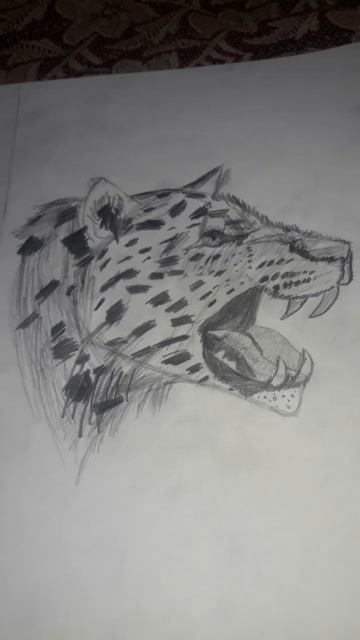drawing of leopard #shorts #viral #edits #drawing sketches# смотреть онлайн
