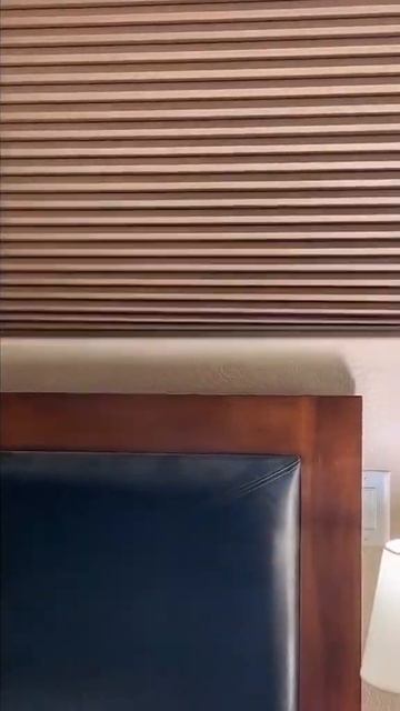 Самое смешное видео 2023 года с животными / милые попугаи, котики и собаки / я ржал целый час смотреть онлайн