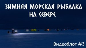 Зимняя морская рыбалка на Севере. Видеоблог #3