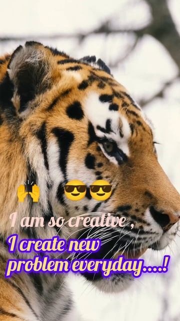 I am so creative 😎😈 every day creat,.... 😎😈👿😈👿 смотреть онлайн