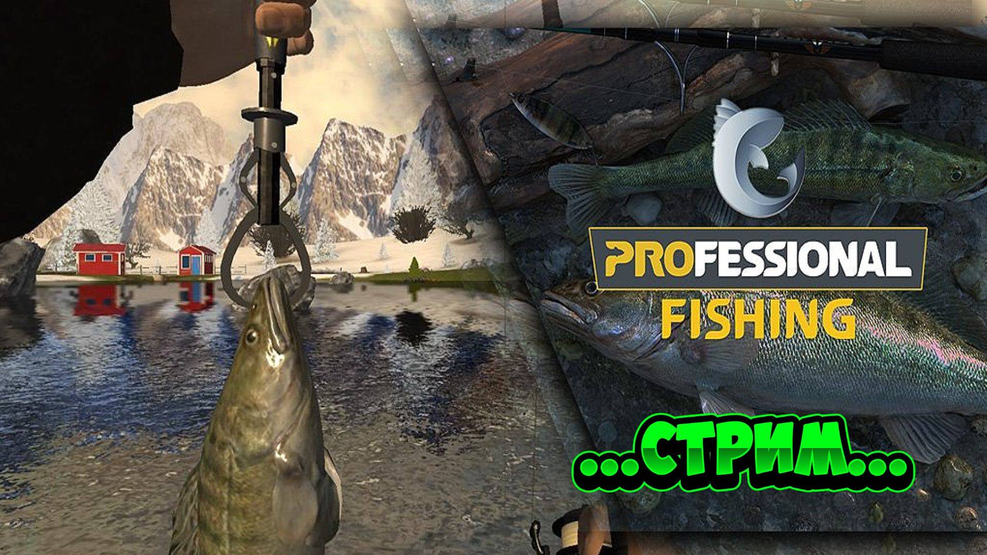 Professional Fishing Стрим Рыбалка Онлайн На Карася смотреть онлайн