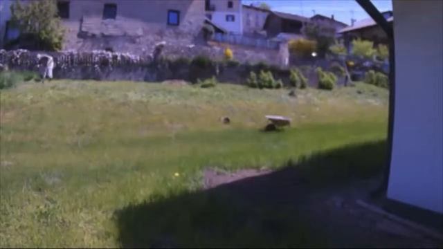 30 Seconds: Strimming