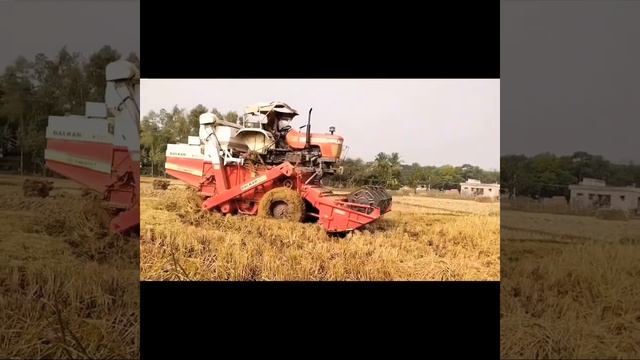 harvester Steak in mud harvester Steak video| смотреть онлайн