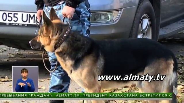 Подробности взрыва в алматинском колледже смотреть онлайн