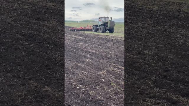 Предпосевная культивация на т150 с культиватором Полярис 8.5! смотреть онлайн