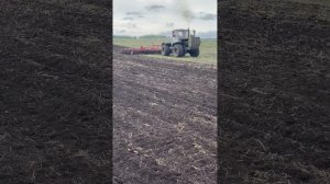 Предпосевная культивация на т150 с культиватором Полярис 8.5!