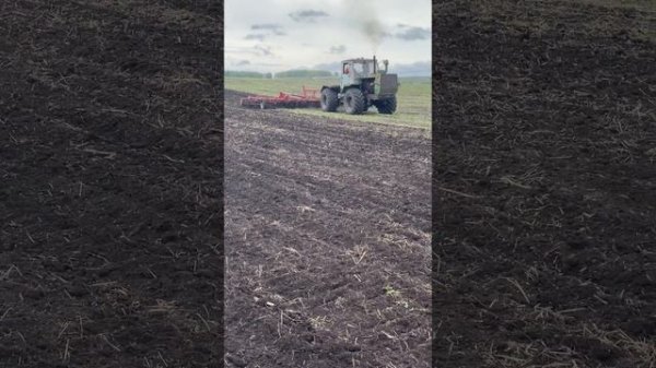 Предпосевная культивация на т150 с культиватором Полярис 8.5!
