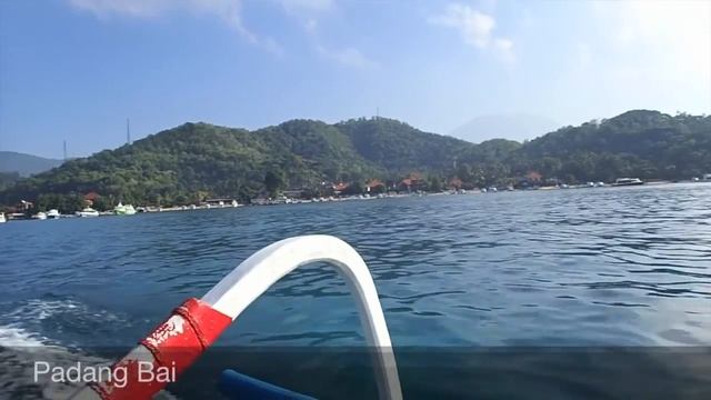 Bali Safari смотреть онлайн