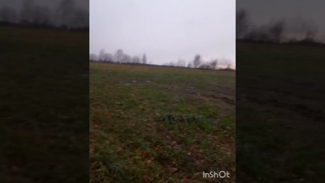 Как мы ездили за сеном смотреть онлайн