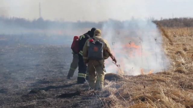 Тушение пала 8 км Новотроицкого шоссе смотреть онлайн