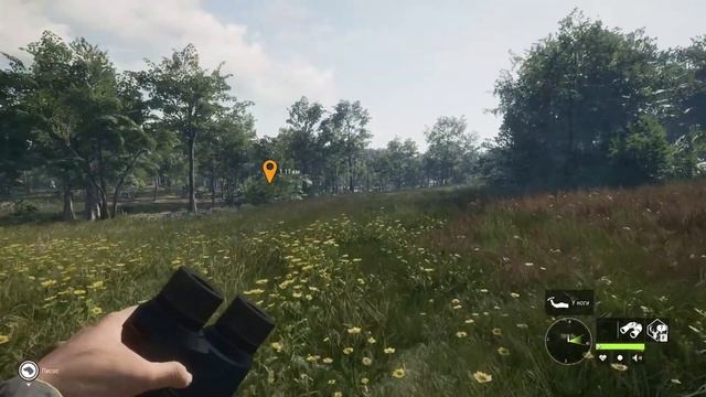 theHunter Call of the Wild™ Пятница, пивасик и хорошее настроение)) смотреть онлайн