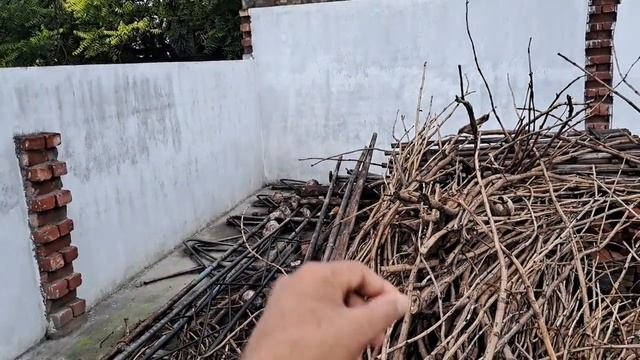 नयी शुरुआत कर रहे है..अपनी राय जरूर दे..♥️welcome new kitchen Garden♥️ смотреть онлайн