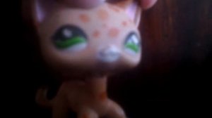 ЭЙ ТЫ! ДА, ДА, ДА. ДА, ТЫ! ПОСМОТРИ МЕНЯ ПЛИЗЗ💜 (ЧТ.О.)