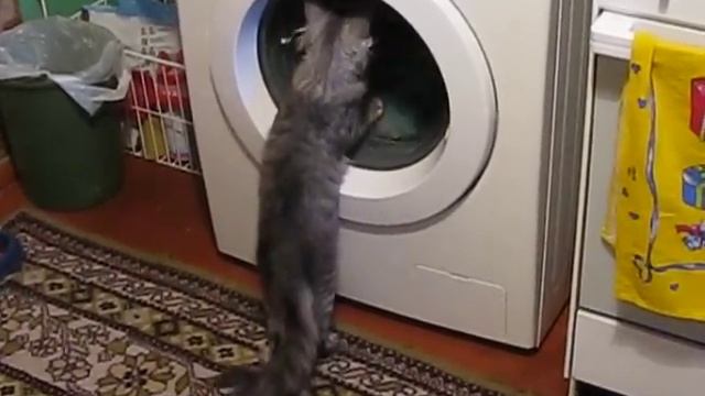 Киса-космонавт смотреть онлайн