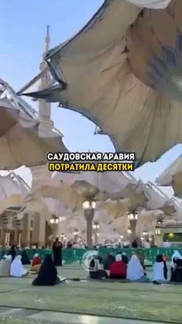 Самые большие зонтики в мире! Саудовская Аравия смотреть онлайн