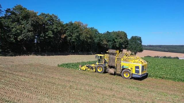ROPA Panther 2S - Die sportlichste Raubkatze смотреть онлайн