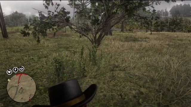 Red Dead Redemption 2, ч.15. Жестокое милосердие. Наш любимый обосранец. Изобретение Марко Драгича. смотреть онлайн