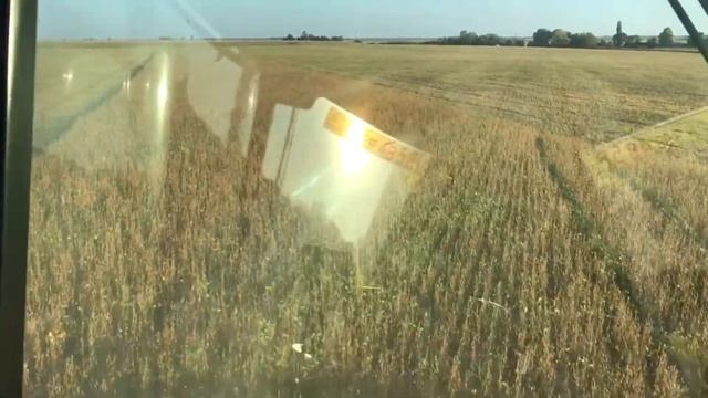 Раціональне використання 9м жатки Космічні технології на комбайні смотреть онлайн
