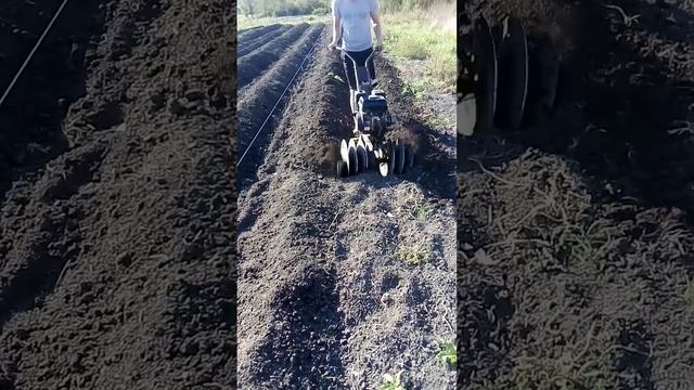 Нарезка бугров мотоблоком смотреть онлайн