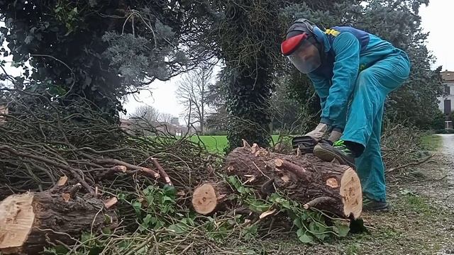 Albero abbattuto dal vento - Motosega MTD GCS 4100/40 смотреть онлайн