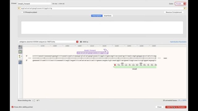 How to use Snapgene (Basic features explained). смотреть онлайн