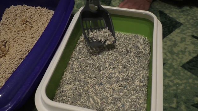 Обзор и сравнение японского комкующегося антибактериального наполнителя смотреть онлайн
