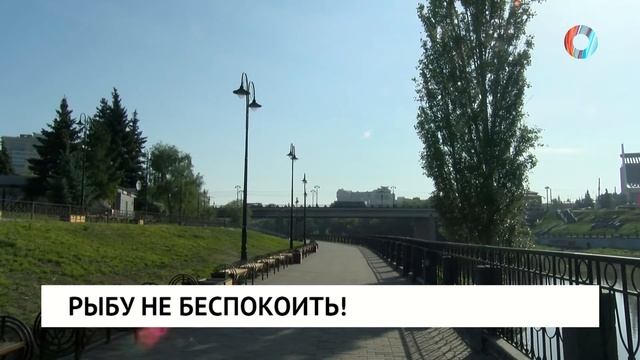 Рыбу не беспокоить! смотреть онлайн