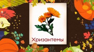 Сборник №7 - 20 минут | Карточки Домана | Развивающие мультики для детей