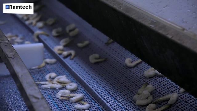 INDIA BEST IQF FREEZERS MANUFACTUERS смотреть онлайн