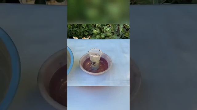 These are excellent results from cement and plastic basket #how #cementpot #shortvideo смотреть онлайн