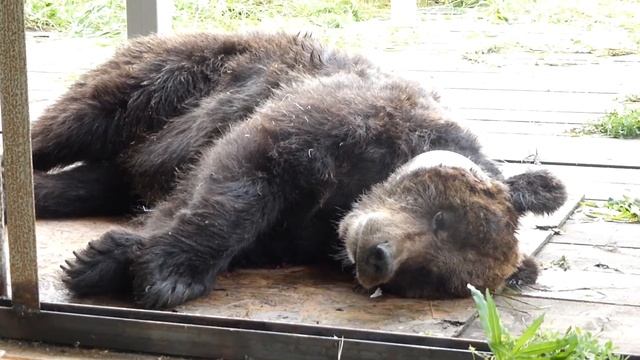 P1080898 смотреть онлайн