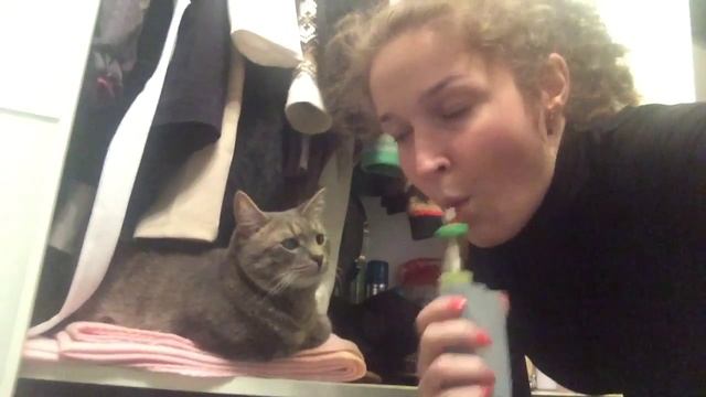 Исчезновение кота смотреть онлайн