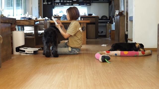 ペットに優しい自動掃除機DEEBOT N8＋ смотреть онлайн