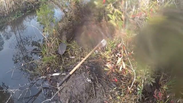 Nutria catch and eat смотреть онлайн