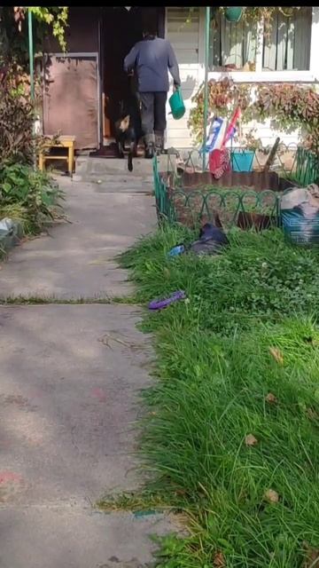 Делу время -потехе час. смотреть онлайн