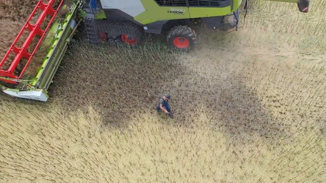 Rapita 2021 - Claas Lexion 8700 TT смотреть онлайн