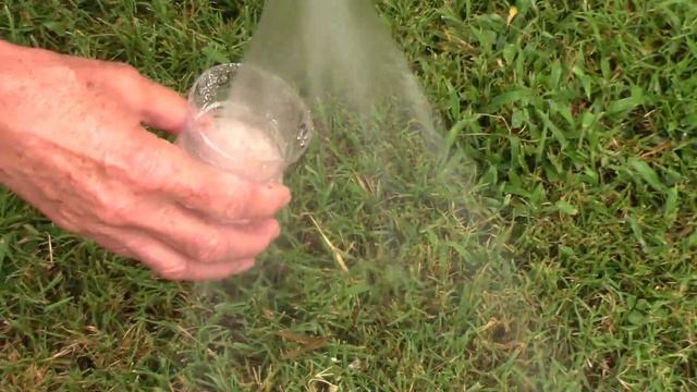 How To Save Tomato Seeds To Plant - Harvesting, Drying, and Storing смотреть онлайн