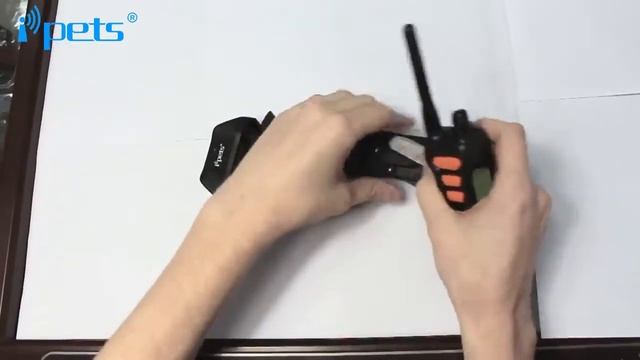 IPets PET618 3 Electronic Dog Training Collar Introduction смотреть онлайн