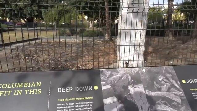 La Brea Tar Pits смотреть онлайн