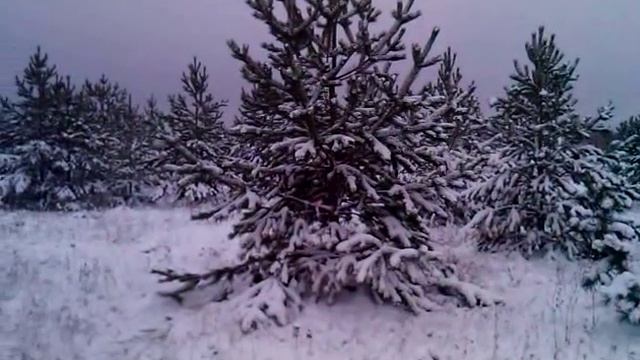 VID 20151118 154255 смотреть онлайн