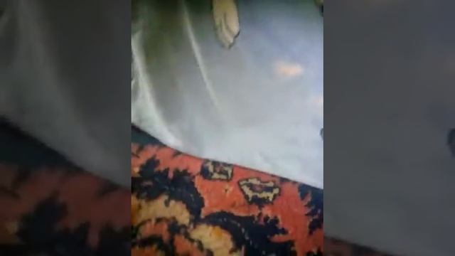 завтра видео " приехали на 24 часа в зарницу - летний лагерь смотреть онлайн