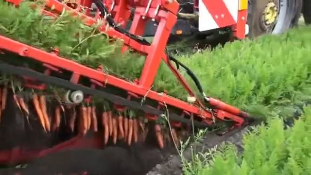 This Carrot Harvester смотреть онлайн
