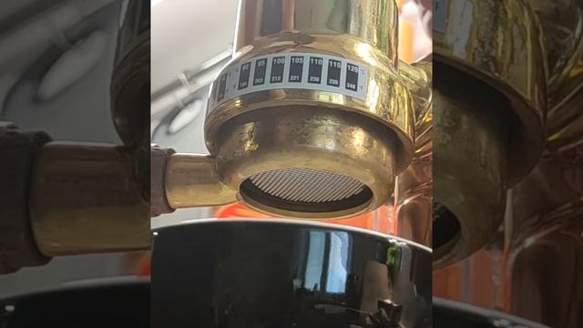 La Pavoni смотреть онлайн