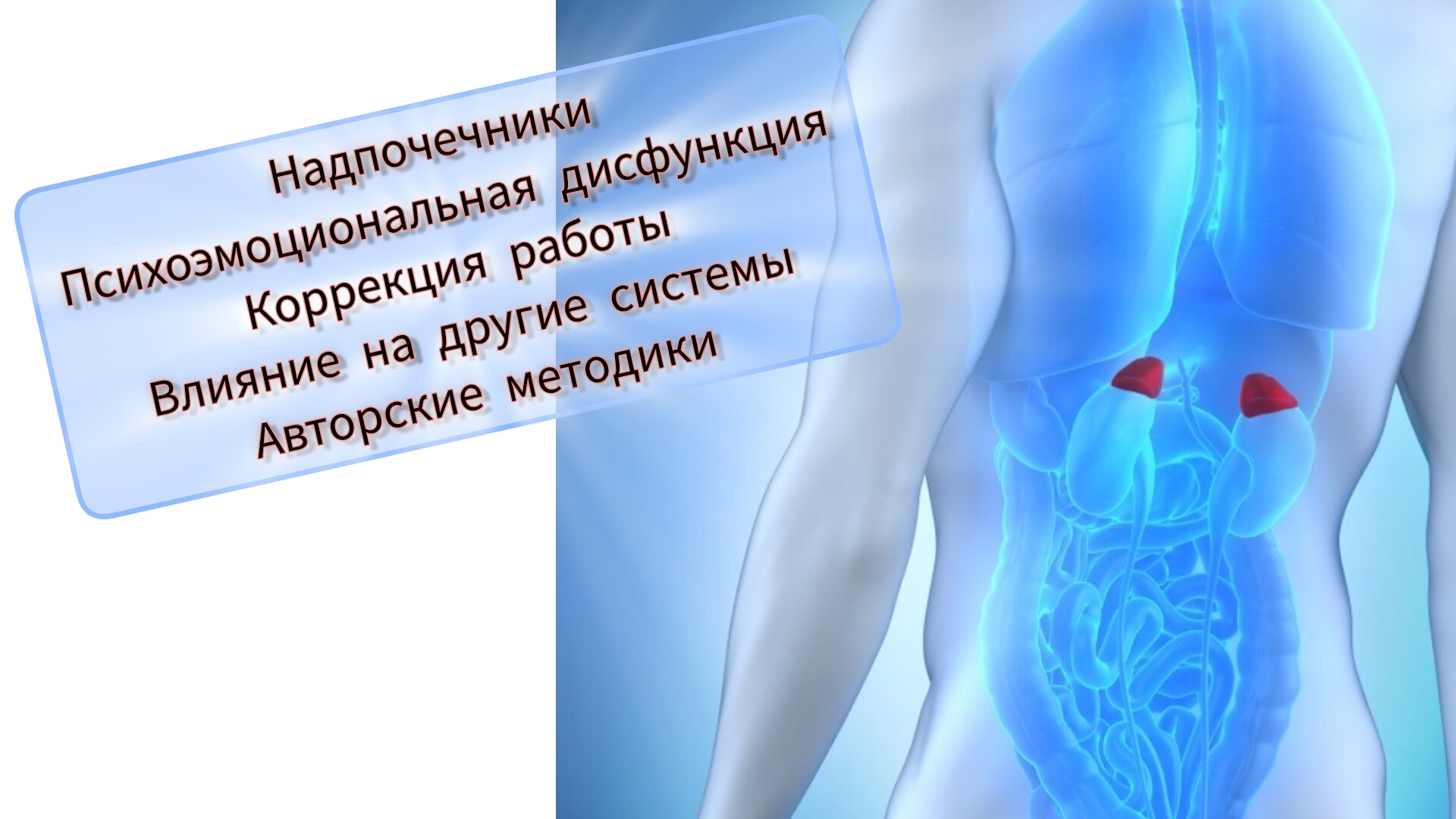 Надпочечники, коррекция через психоэмоциональную терапию. Квантовая терапия. Кинезиолог